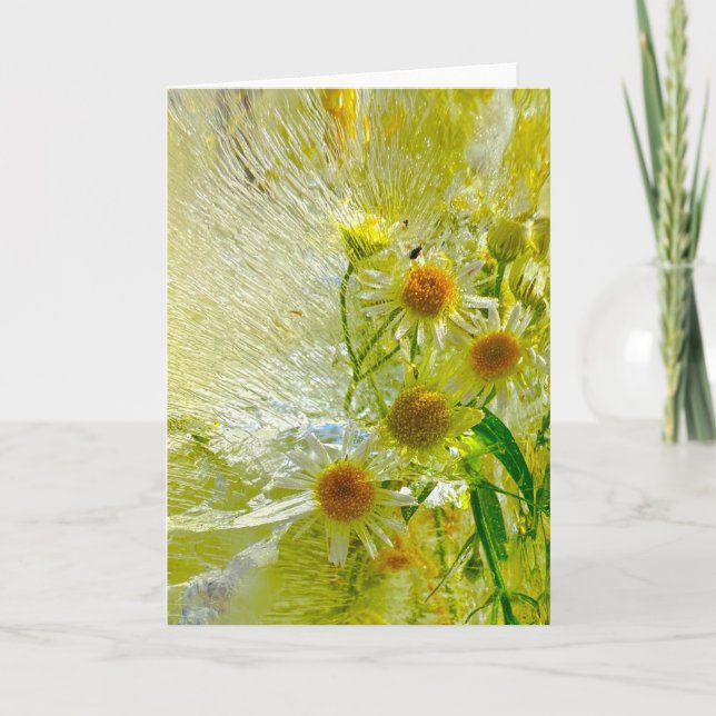 Iced Blossoms,  Card (Front)