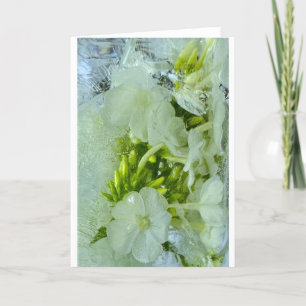 Iced Blossoms,  Card