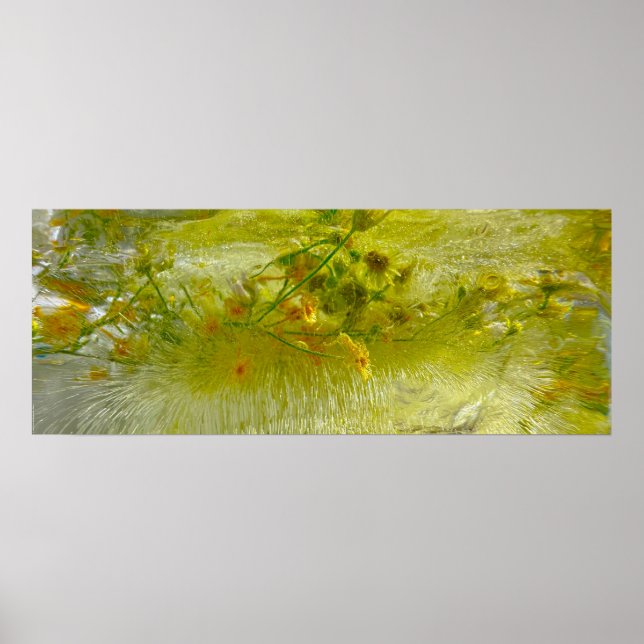 Iced Blossoms,  Poster (Front)