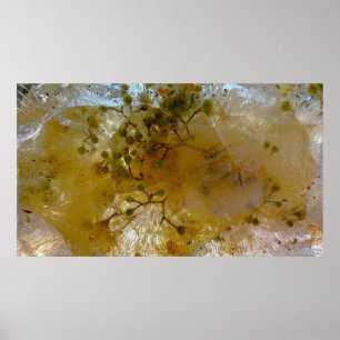 Iced Blossoms,  Poster