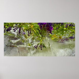 Iced Blossoms, Poster