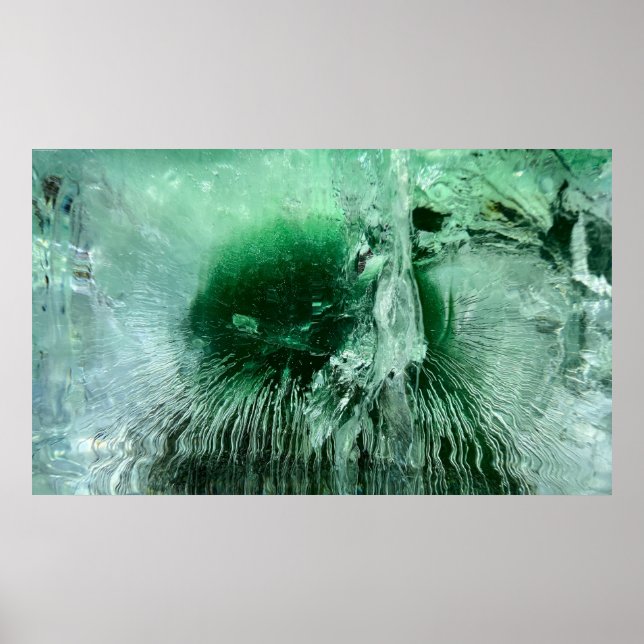 Iced Blossoms,  Poster (Front)