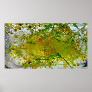 Iced Blossoms,  Poster