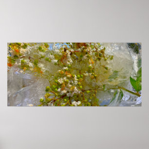 Iced Blossoms, Poster