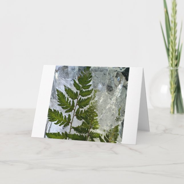 Iced Ferns, Card (Front)