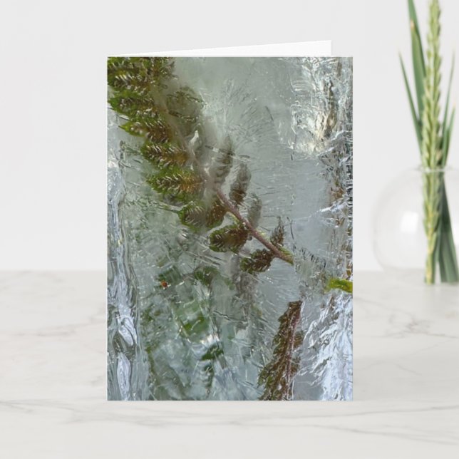 Iced Ferns, Card (Front)