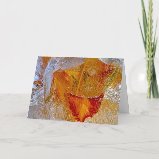 Iced Lilies, Card (Front)