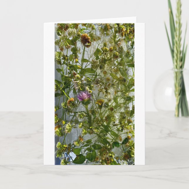 Iced Thistle & Clover, Card (Front)