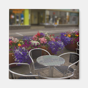 Iceland, Akureyri. View of the main business Magnet