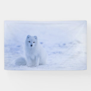 Iceland Arctic Fox Banner