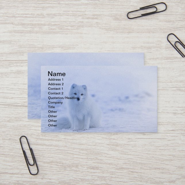 Iceland Arctic Fox Business Card (Front/Back In Situ)