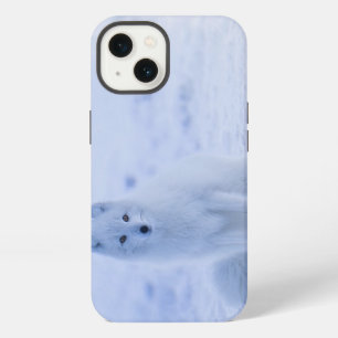 Iceland Arctic Fox iPhone 13 Case