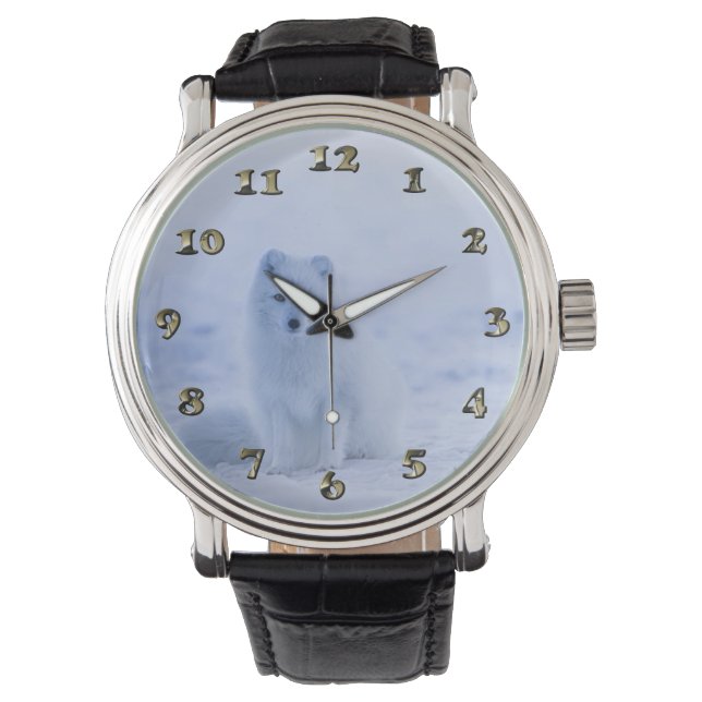 Iceland Arctic Fox Watch (Front)