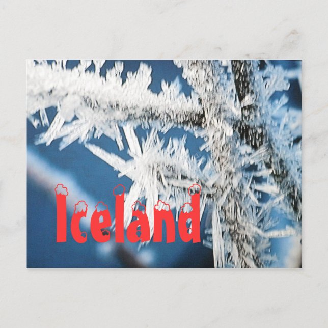 Iceland arctic winter  postcard (Front)