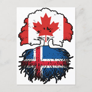 Iceland Icelandic Canadian Canada Tree Roots Flag Postcard