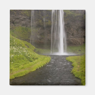 Iceland. People on trail behind Seljalandsfoss Magnet