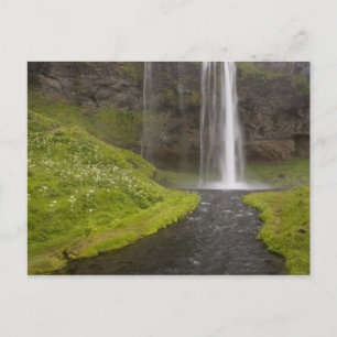 Iceland. People on trail behind Seljalandsfoss Postcard