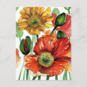 Iceland Poppies Postcard