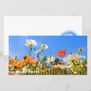 Iceland Poppy Card