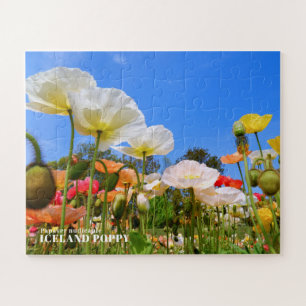 Iceland Poppy Jigsaw Puzzle