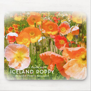 Iceland Poppy Mouse Mat