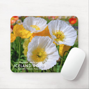 Iceland Poppy Mouse Mat