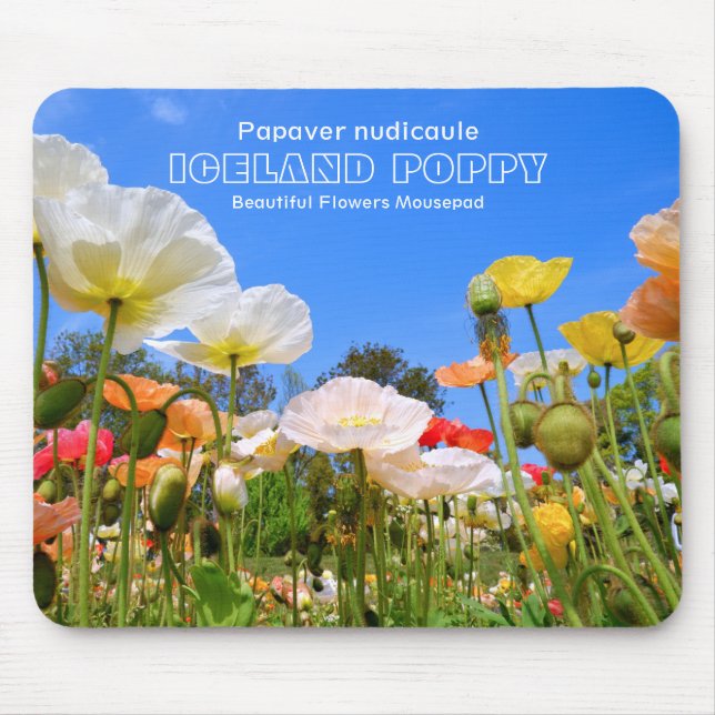 Iceland Poppy Mouse Mat (Front)