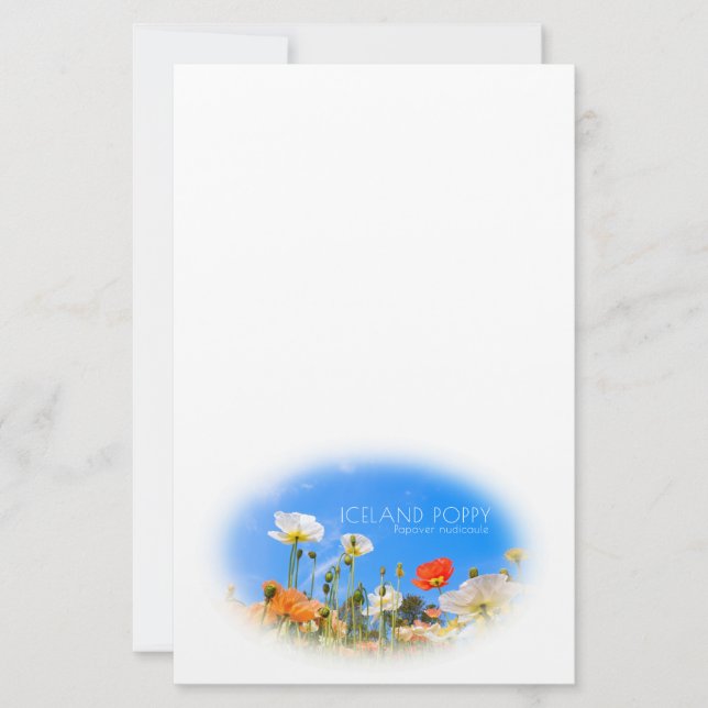 Iceland Poppy Stationery (Front)