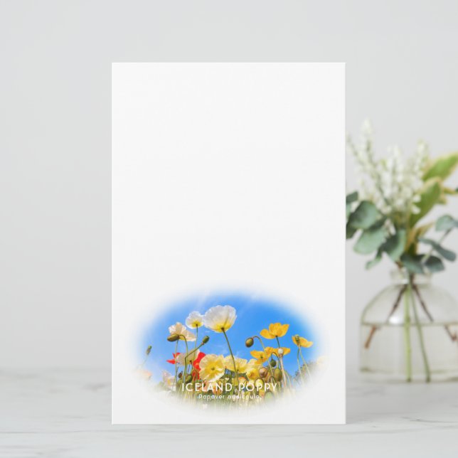 Iceland Poppy Stationery (Standing Front)
