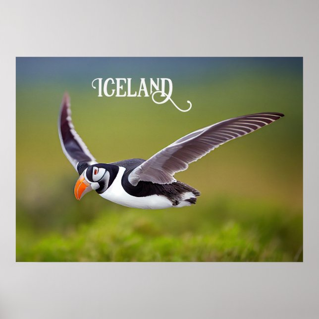Iceland Puffin Poster (Front)