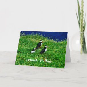 Iceland - Puffins Card