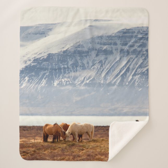 ICELAND SHERPA BLANKET (Front)