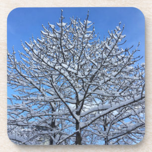 Iceland snow - coaster