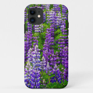 Iceland. Vik i Myrdal. Field of Lupines iPhone 11 Case