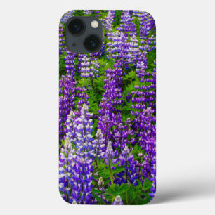 Iceland Vik i Myrdal. Field of Lupines iPhone 13 Case