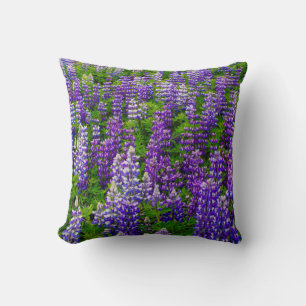 Iceland. Vik i Myrdal. Field of Lupines Cushion