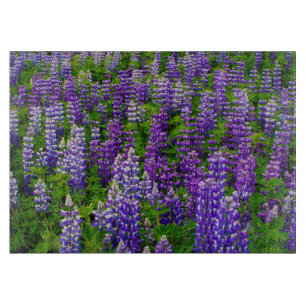 Iceland. Vik i Myrdal. Field of Lupines Cutting Board