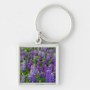 Iceland. Vik i Myrdal. Field of Lupines Key Ring