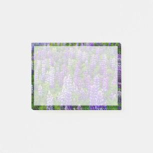 Iceland. Vik i Myrdal. Field of Lupines Post-it Notes