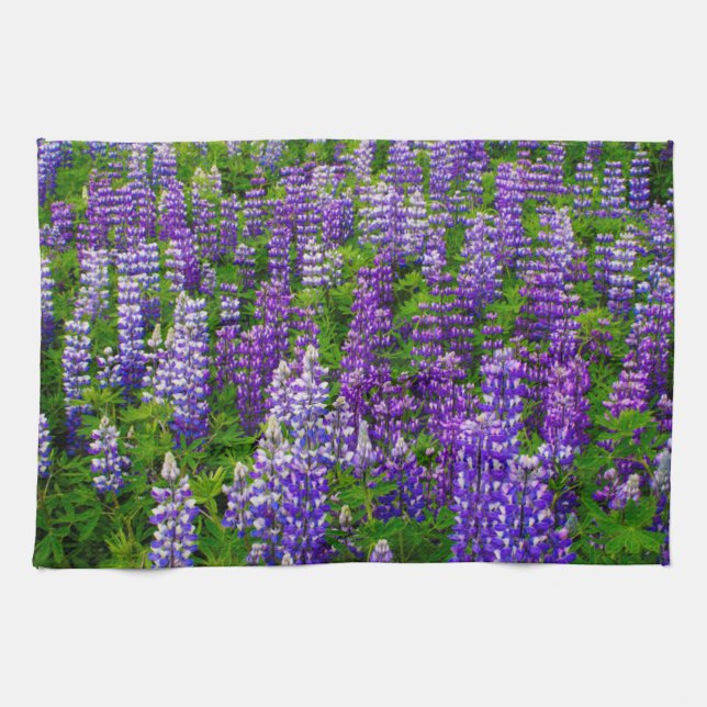 Iceland. Vik i Myrdal. Field of Lupines Tea Towel (Horizontal)