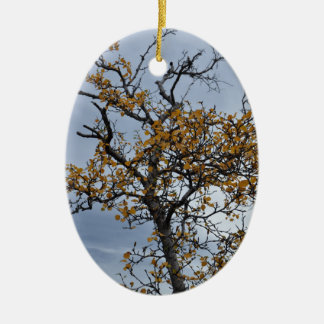 Icelandic Birch Ornament