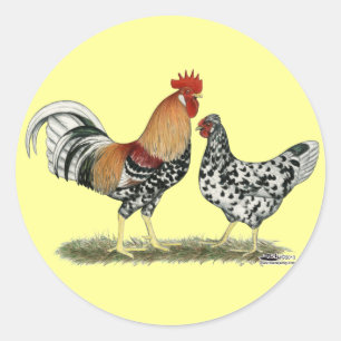 Icelandic Chickens Classic Round Sticker