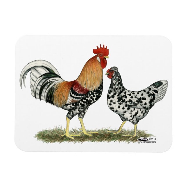 Icelandic Chickens Magnet (Horizontal)