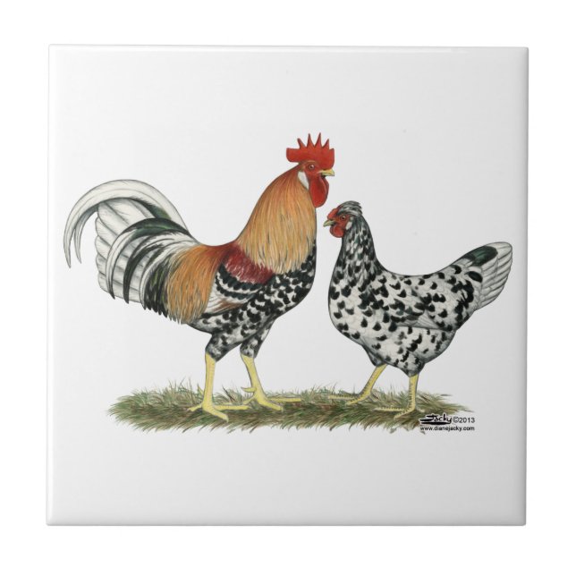 Icelandic Chickens Tile (Front)