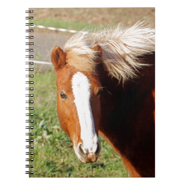 Icelandic Horse 001 Notebook (Front)