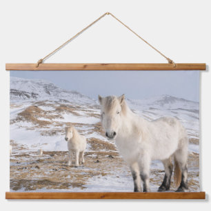 Icelandic Horse   Blonduos, Iceland Hanging Tapestry