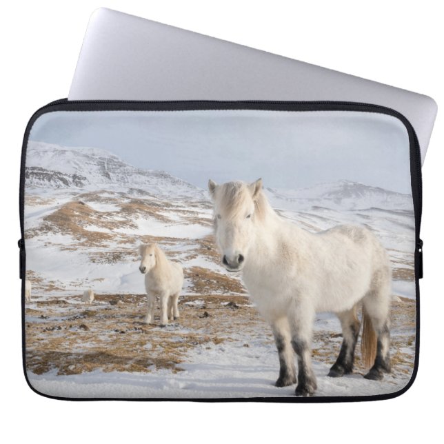 Icelandic Horse | Blonduos, Iceland Laptop Sleeve (Front)