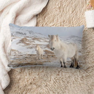 Icelandic Horse Blonduos, Iceland Lumbar Cushion