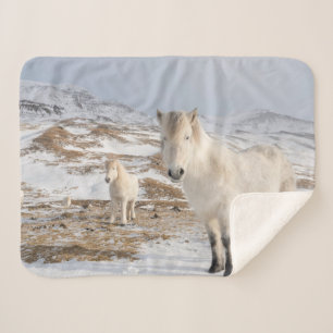 Icelandic Horse   Blonduos, Iceland Sherpa Blanket