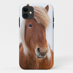 Icelandic Horse during winter iPhone 11 Case